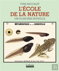 Bertrand.pt - L'Ecole De La Nature ; Les Planches Deyrolle