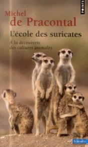 L'École Des Suricates ; À La Découverte Des Cultures Animales