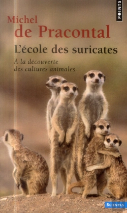 Bertrand.pt - L'École Des Suricates ; À La Découverte Des Cultures Animales