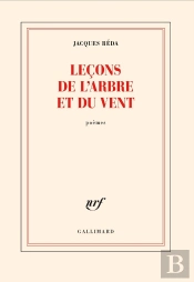 Leçons De L'Arbre Et Du Vent