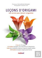 Leçons D'Origami