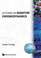 Lectures On Quantum Chromodynamics
