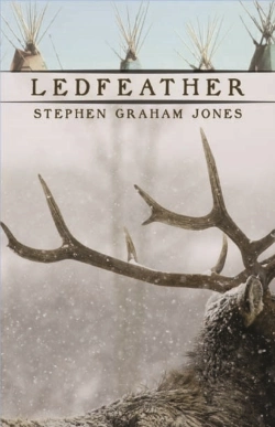 Bertrand.pt - Ledfeather