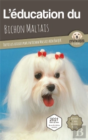 L'Éducation Du Bichon Maltais : Toutes Les Astuces Pour Un Bichon Maltais Bien Éduqué