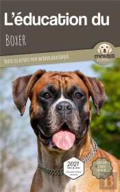 L'Éducation Du Boxer : Toutes Les Astuces Pour Un Boxer Bien Éduqué