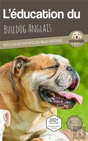 L'Éducation Du Bulldog Anglais : Toutes Les Astuces Pour Un Bulldog Anglais Bien Éduqué