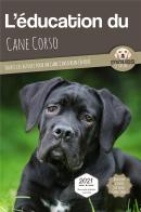 L'Éducation Du Cane Corso : Toutes Les Astuces Pour Un Cane Corso Bien Éduqué
