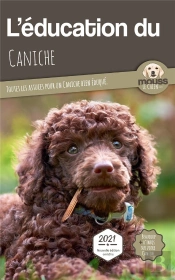 L'Éducation Du Caniche : Toutes Les Astuces Pour Un Caniche Bien Éduqué