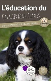 L'Éducation Du Cavalier King Charles : Toutes Les Astuces Pour Un Cavalier King Charles Bien Éduqué
