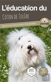 L'Éducation Du Coton De Tuléar : Toutes Les Astuces Pour Un Coton De Tuléar Bien Éduqué