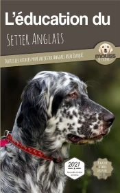 L'Éducation Du Setter Anglais : Toutes Les Astuces Pour Un Setter Anglais Bien Éduqué