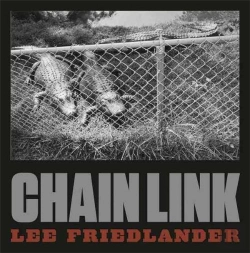 Bertrand.pt - Lee Friedlander Chain Link /Anglais