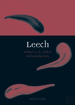 Bertrand.pt - Leech