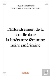 L?Effondrement De La Famille Dans La Litterature Feminine Noire-Americaine
