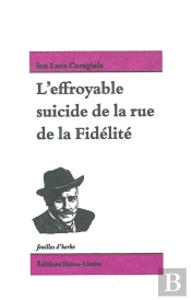 L'Effroyable Suicide De La Rue De La Fidelité