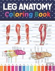 Leg Anatomy Coloring Book