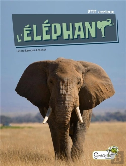 Bertrand.pt - L'Éléphant