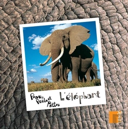 Bertrand.pt - L'Elephant