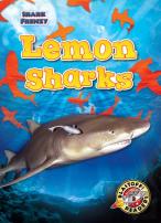 Lemon Sharks