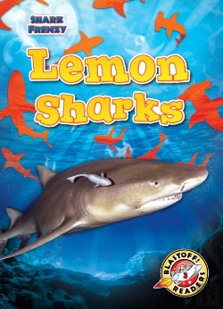Bertrand.pt - Lemon Sharks