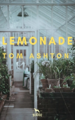 Bertrand.pt - Lemonade