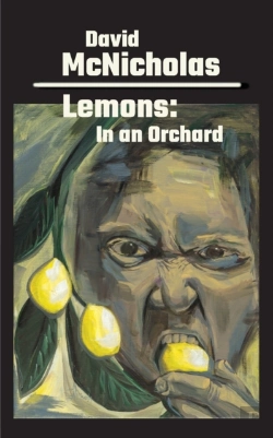 Bertrand.pt - Lemons