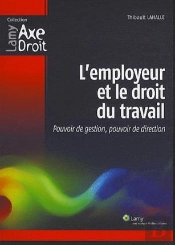 L'Employeur Et Le Droit Du Travail