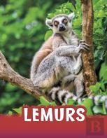 Lemurs