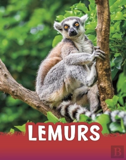 Bertrand.pt - Lemurs