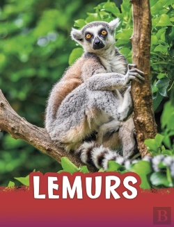 Bertrand.pt - Lemurs