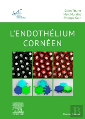 L'Endothélium Cornéen