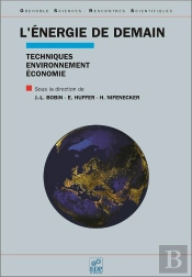 L'Énergie De Demain ; Techniques Environnement, Économie