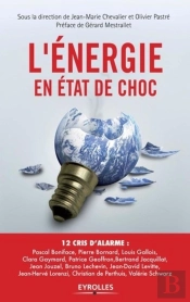 L'Énergie En État De Choc