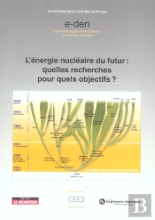 L'Energie Nucleaire Du Futur : Quelles Recherches Pour Quels Objectifs ?