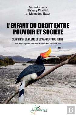 Bertrand.pt - L'Enfant Du Droit, Entre Pouvoir Et Socieété Tome 1 : Servir Par La Plume Et Les Arpents De Terre