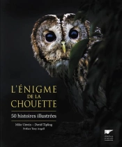 L'Énigme De La Chouette ; 50 Histoires Illustrées