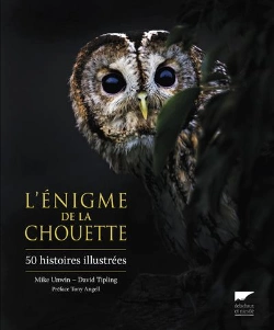 Bertrand.pt - L'Énigme De La Chouette ; 50 Histoires Illustrées