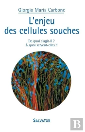 L'Enjeu Des Cellules Souches ; De Quoi S'Agit-Il ? À Quoi Servent-Elles ?