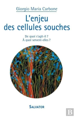Bertrand.pt - L'Enjeu Des Cellules Souches ; De Quoi S'Agit-Il ? À Quoi Servent-Elles ?