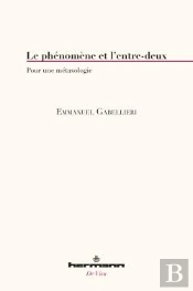 L'Entre-Deux ; Pour Une Métaxologie