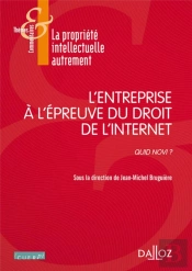 L'Entreprise À L'Épreuve Du Droit De L'Internet