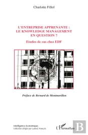 L'Entreprise Apprenante ; Le Knowledge Management En Question ? Études De Cas Chez Edf