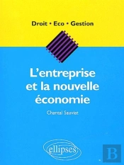 L'Entreprise Et La Nouvelle Économie