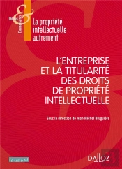 L'Entreprise Et La Titularité Des Droits De Propriété Intellectuelle