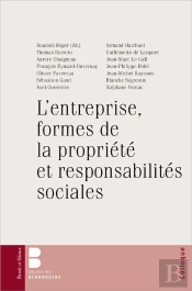 L'Entreprise, Formes De La Propriete Et Responsabilite