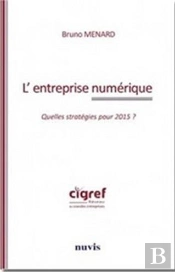 L'Entreprise Numérique ; Quelles Stratégies Pour 2015 ?