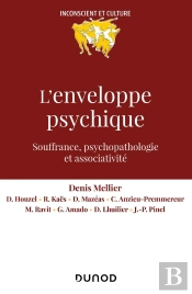 L'Enveloppe Psychique : Souffrances, Processus Et Dispositifs
