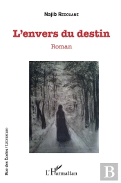 L'Envers Du Destin - Roman