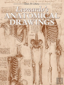 Bertrand.pt - Leonardo'S Anatomical Drawings