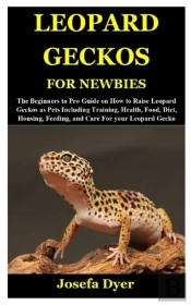 Leopard Geckos For Newbies